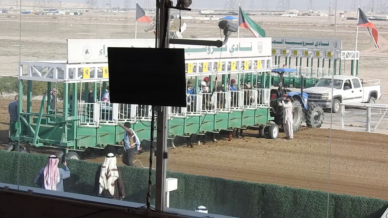 الشوط الاول ( رداد ) اسطبل الهنداس ابن الفحل ( دراغون بلس )