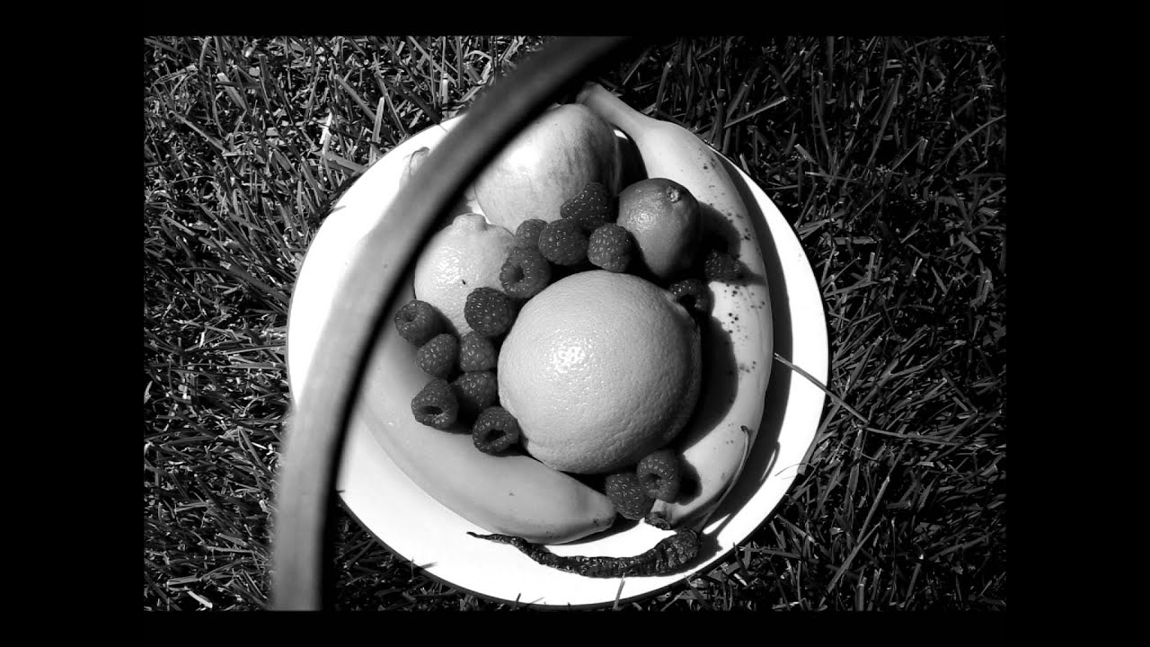 How Colored Filters Affect Black and White Images
