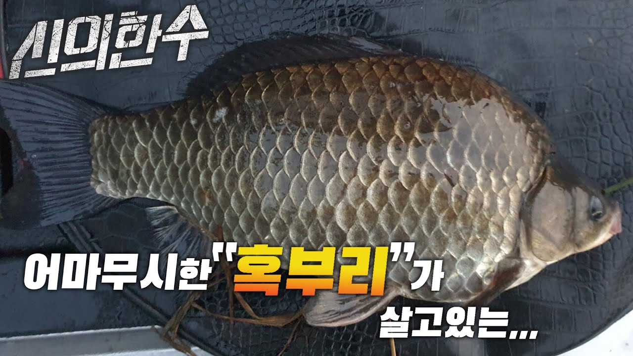 [신의한수]_ 어마어마한 
