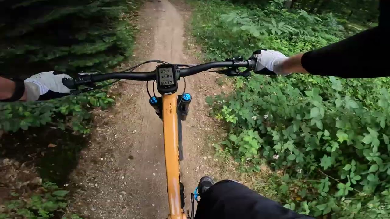 MTB Groesbeek Traumapad Descend #1 with Crash 2025-06-28