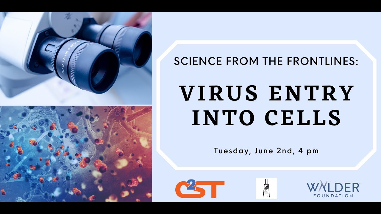 Science From The Frontlines: Virus Entry into Cells