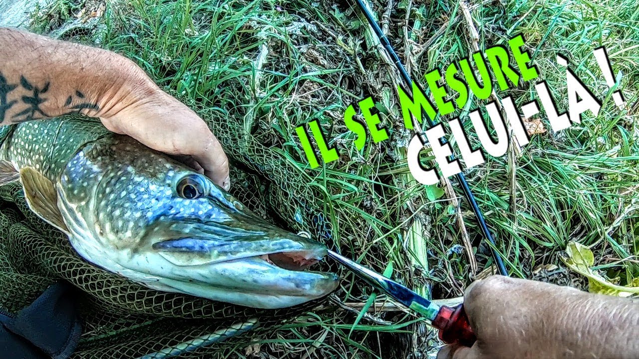 Un &Eacute;NORME POISSON par ACCIDENT !