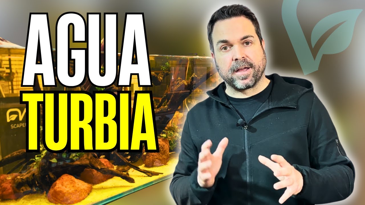¿Por qué el agua de tu acuario está turbia? ▶