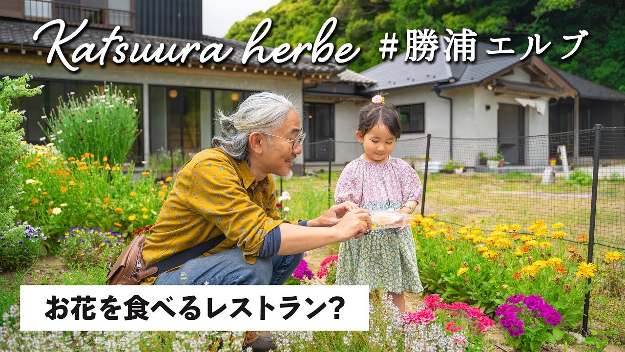 エディブルフラワー＆ハーブ園で花摘みと美味しいランチを堪能☆#勝浦エルブ｜edible flower and herb garden Katsuura herbe