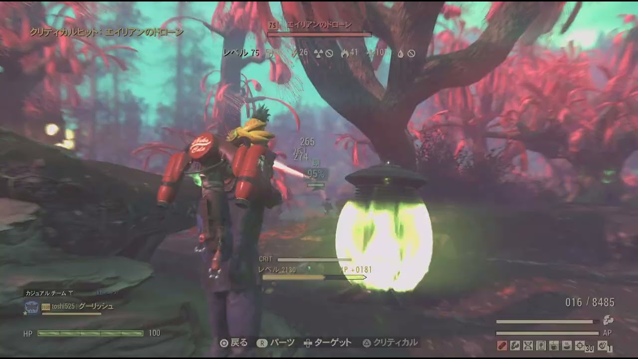 【76】アパラチア　散歩　26/3/16