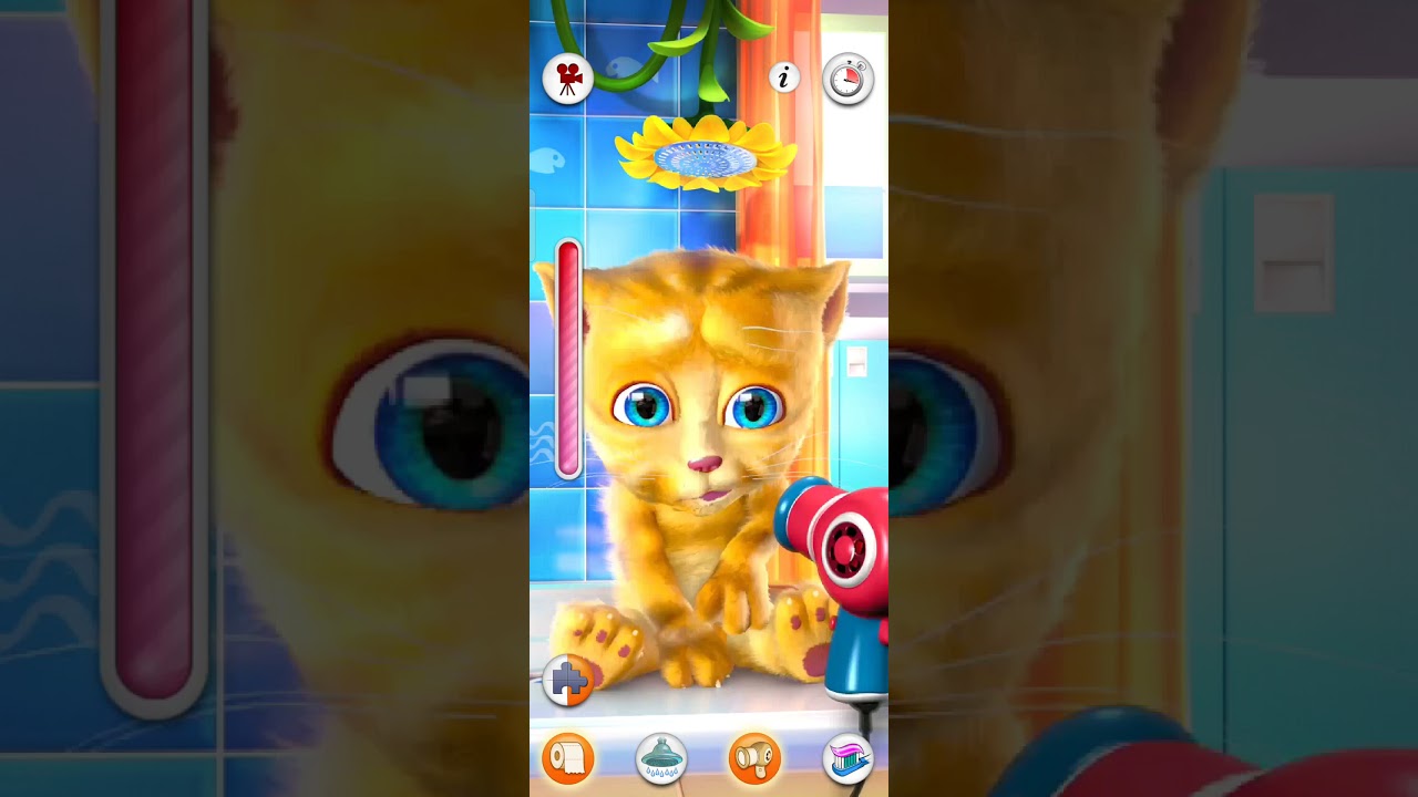 Talking Ginger Funny Video 🤣. | Talking Ginger 🤣 Laughing.
