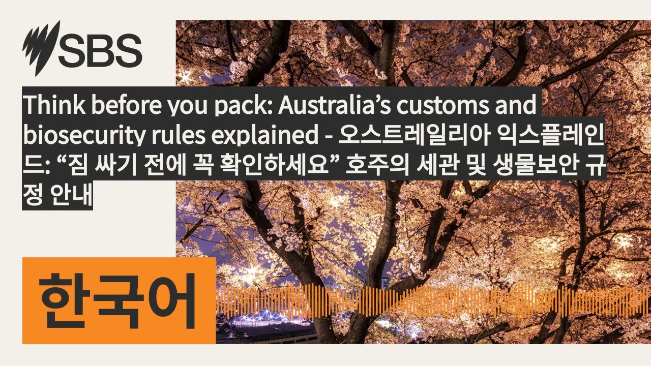 Think before you pack: Australia’s customs and biosecurity rules explained - 오스트레일리아 익스플레인드: “짐...