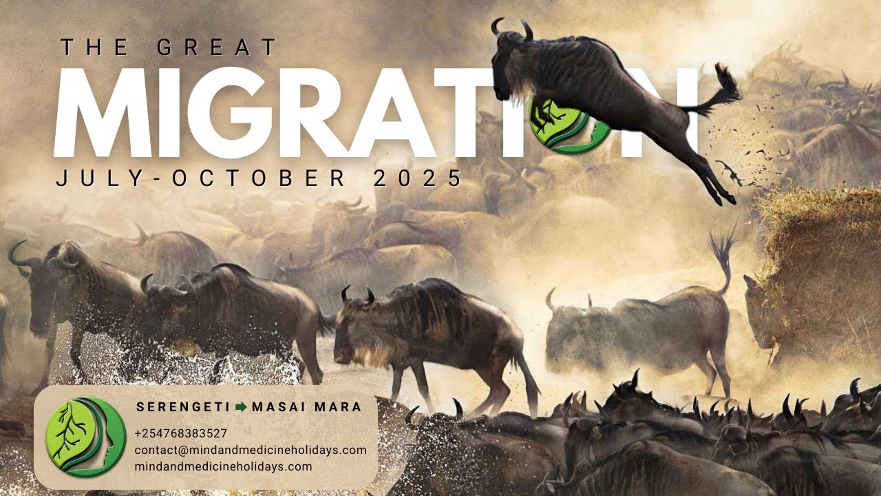 The Great Wildebeests Migration July-October 2025