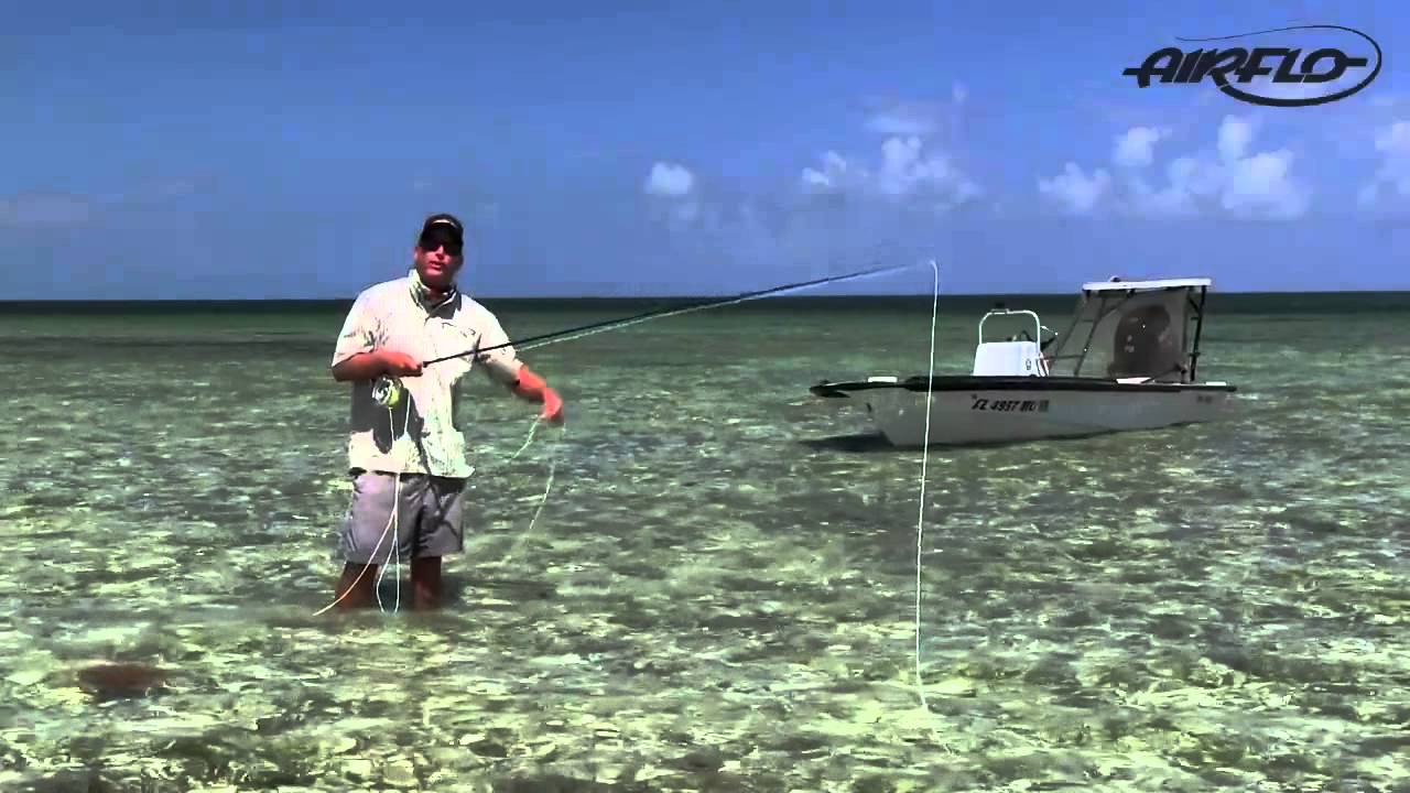 Airflo Chard Tropical Punch Fly Line from Airflo