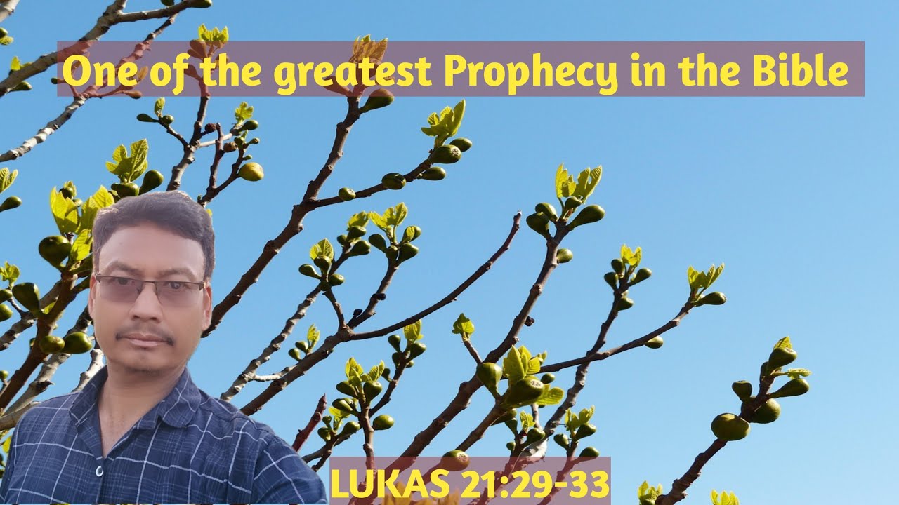 जोबनोसै साननि नैबे मोनसे parable आ जिसुनि गिदिरथार Bible Prophecy