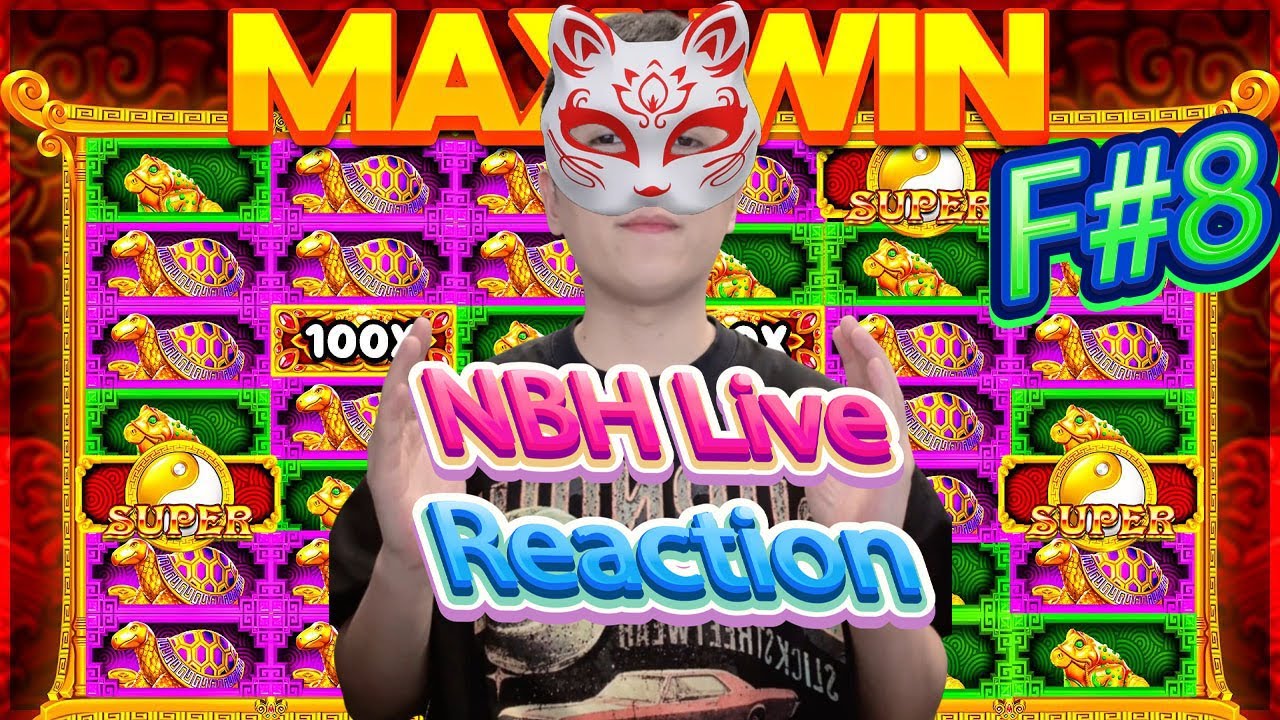 NBH F#8 Reflection | Thánh Bò Không Chỉ Là Cái Tên...Con Mồi Hay Là Kẻ Đi Săn 🐱🐭