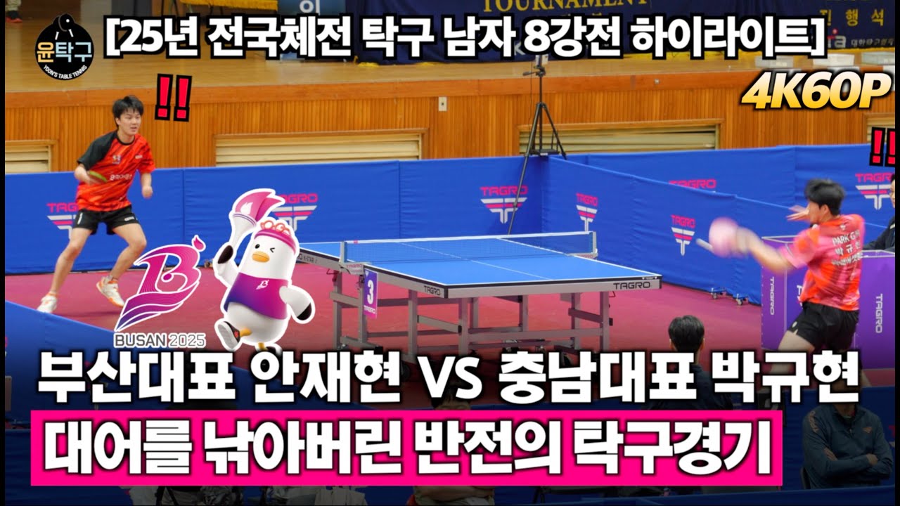 2025 전국체전 탁구 남자일반부 8강전 하이라이트 - 부산광역시(안재현) VS 충청남도(박규현)