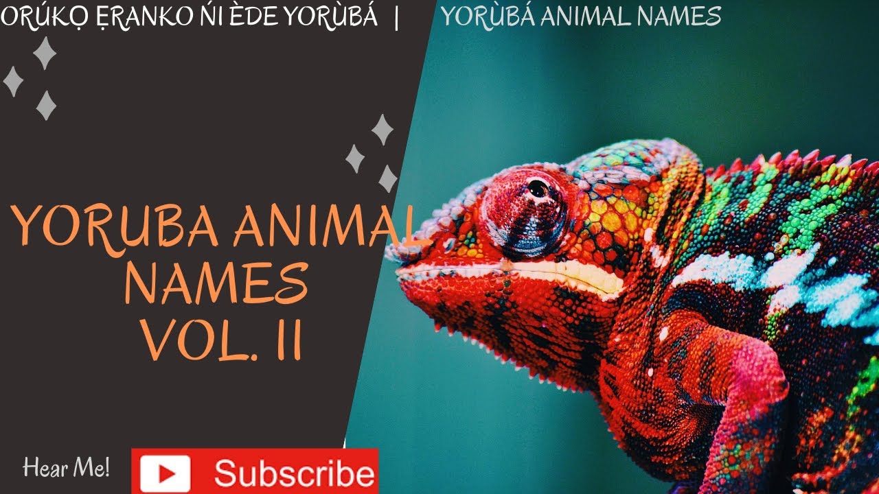 Yoruba Animal Names Part 2| Orúkọ Ẹranko Yorùbá