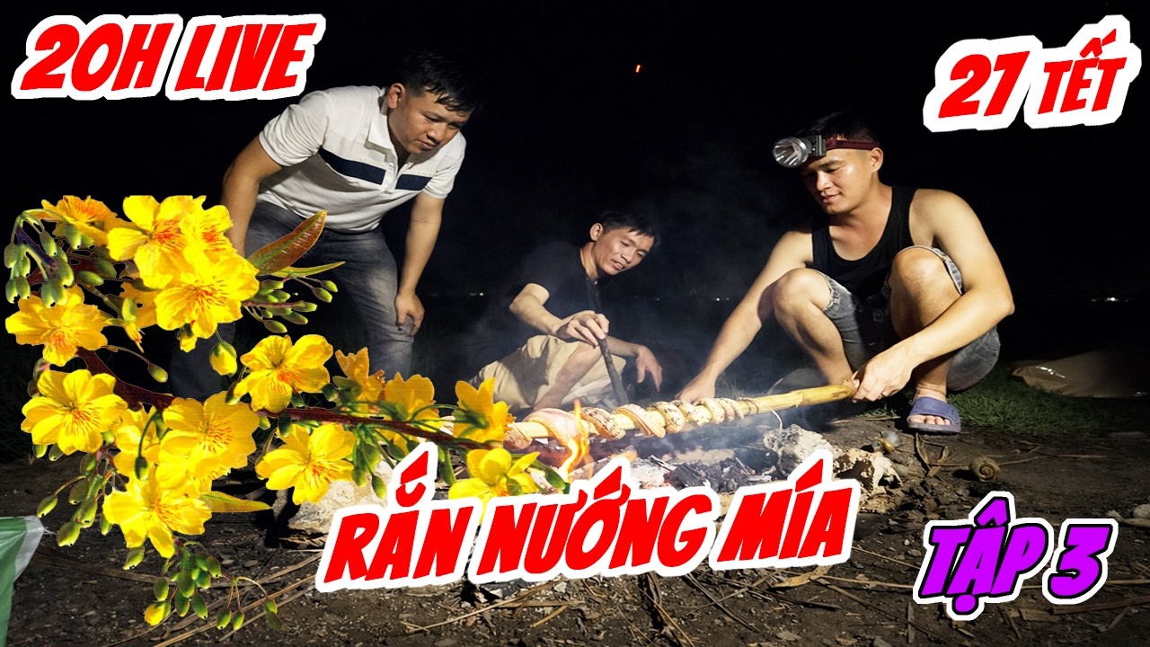 Rắn Nướng Mía Giữa Đồng Ruộng cực đã - Ẩm Thực Sinh Tồn Hoang Dã | Đạt Bộ Binh Sinh Tồn