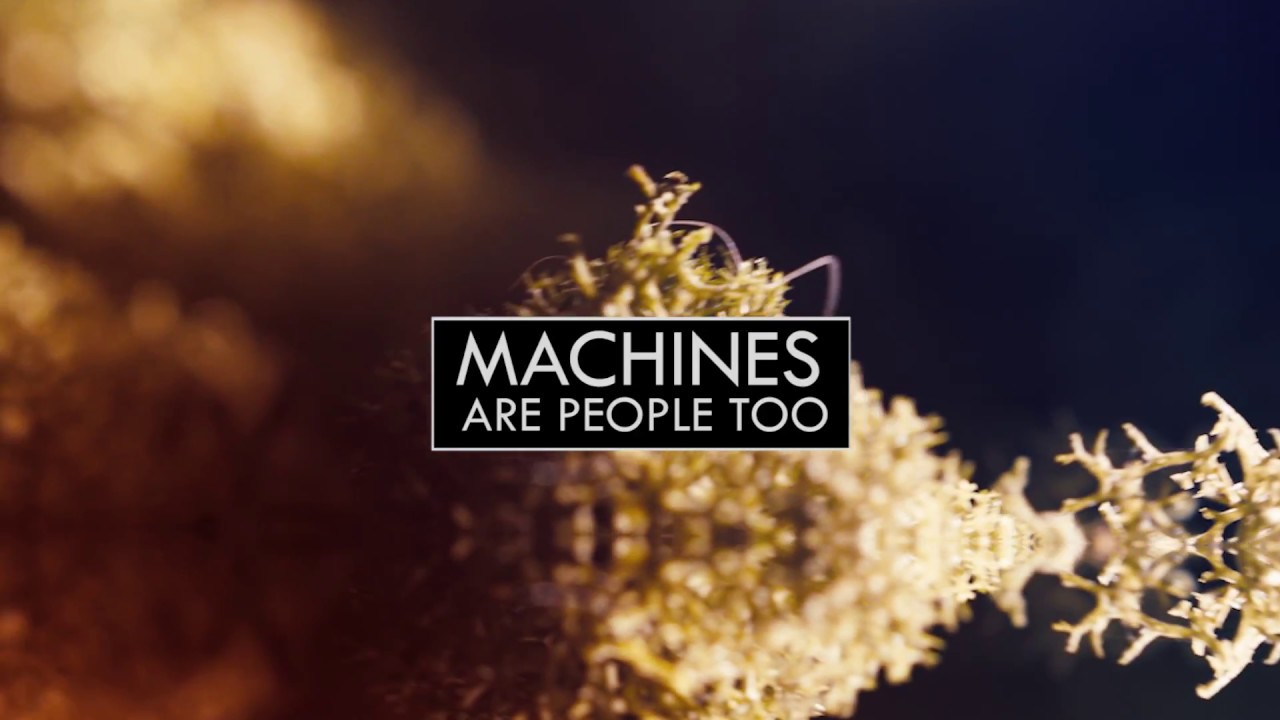 Saturday Night | Machines Are People Too (Lyric video)