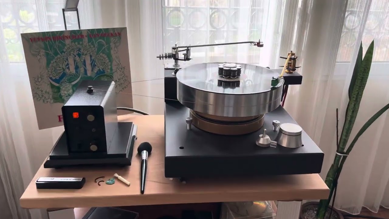 Boğa Ferdinand, Ferdinand The Bull, Yetkin Dikinciler, Can Güçkan, Vinyl, Records, Plak,