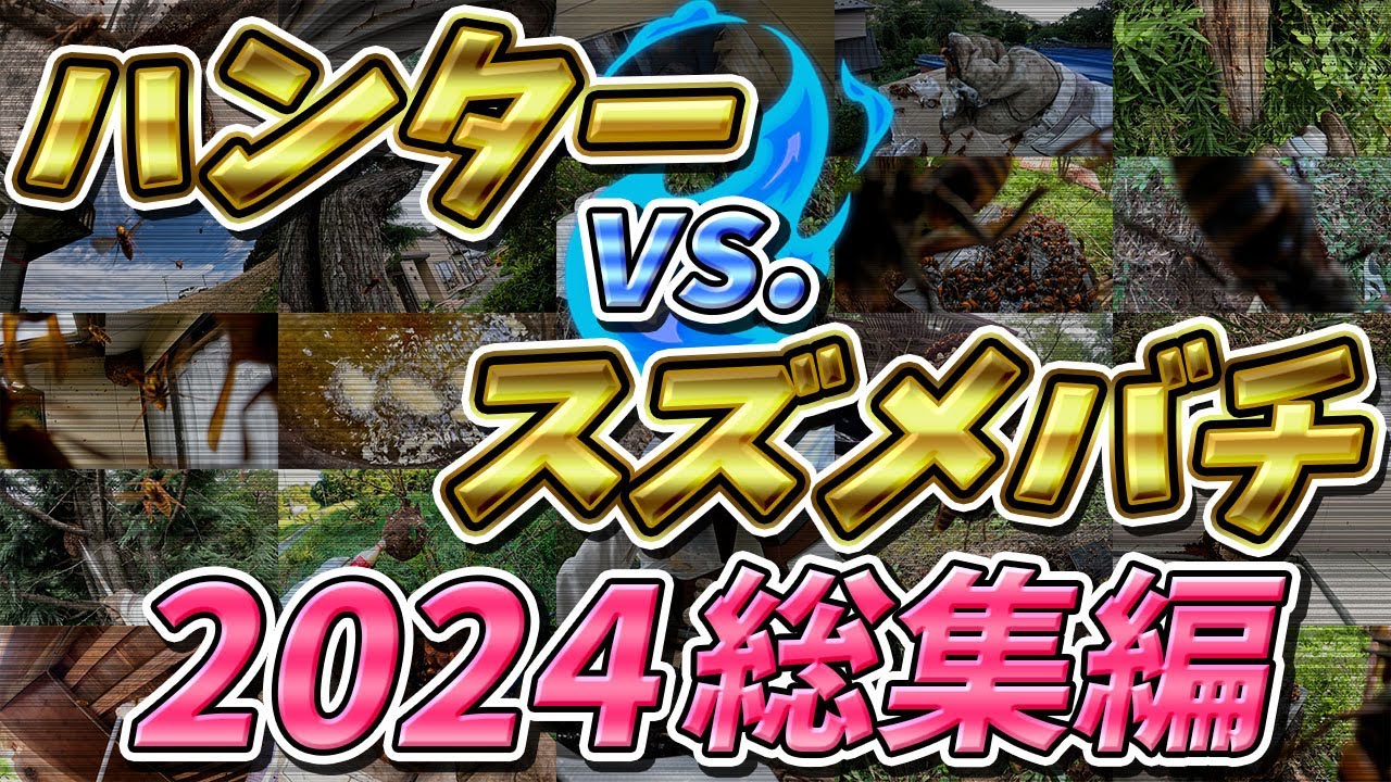 【総集編】テレビ東京出演記念！！全部見せます☆2024年スズメバチハンター戦いの記録！【終末殺蜂家】 #スズメバチ