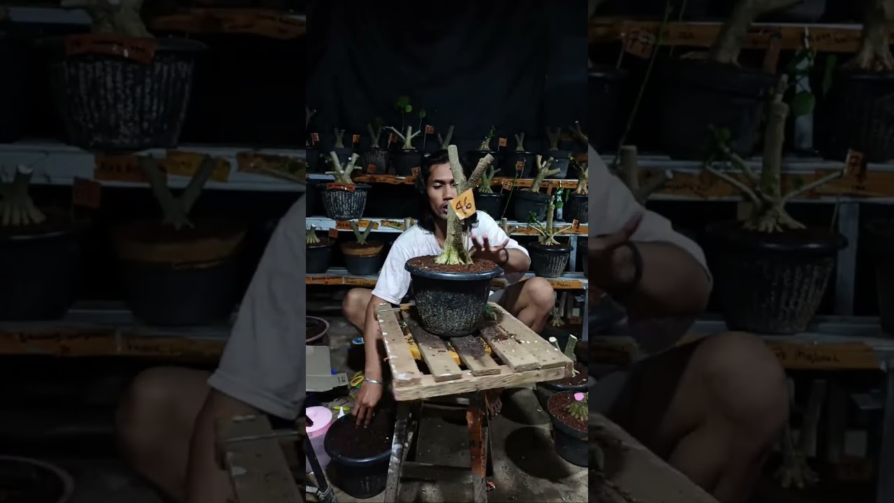CUACA SYAHDU ENAKNYA KUMPUL SINI AJA...