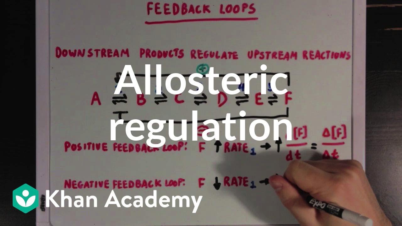 Allosteric regulation and feedback loops | Biomolecules | MCAT | Khan Academy