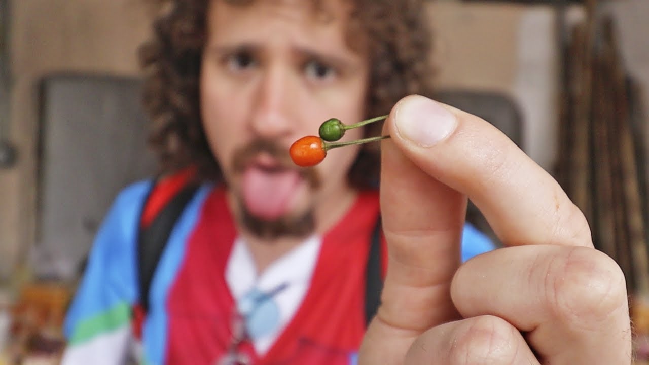 Nunca había probado un chile TAN PICANTE | Monterrey