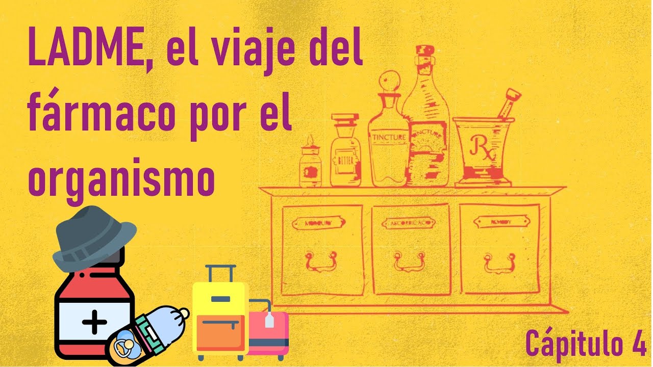 LADME, el viaje del fármaco por el organismo