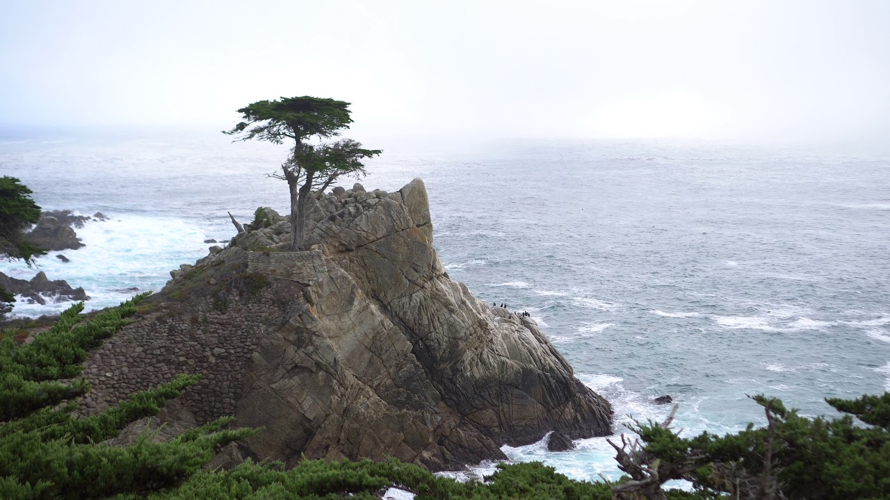 4K Lone Cypress, Pebble Beach, Ca. A iconic Tree