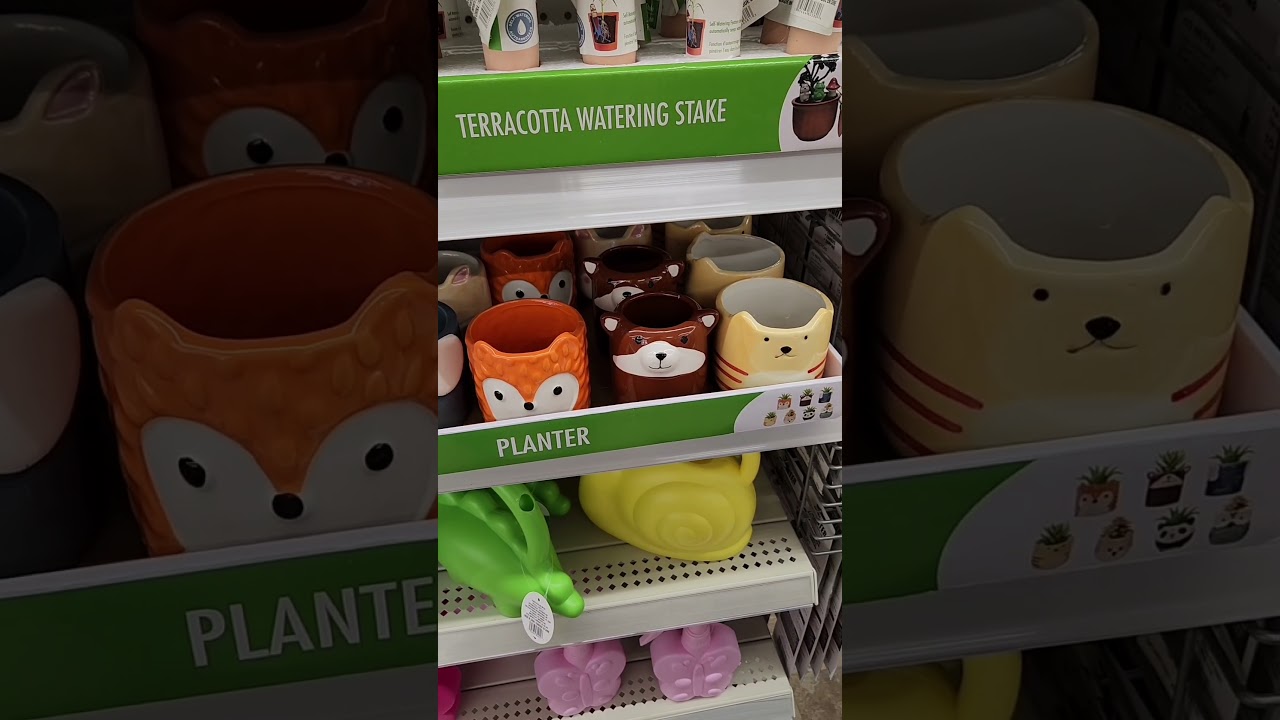 Поход по магазинам Dollar Tree в Нью-Оксфорде, штат Пенсильвания! - 14 февраля 2026 г.