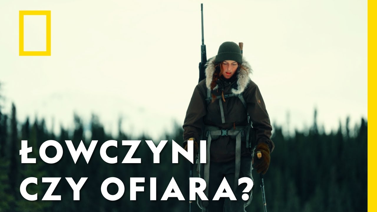 Grupa wilków zaczęła ją śledzić w trakcie polowania | Przetrwanie w kanadyjskiej dziczy