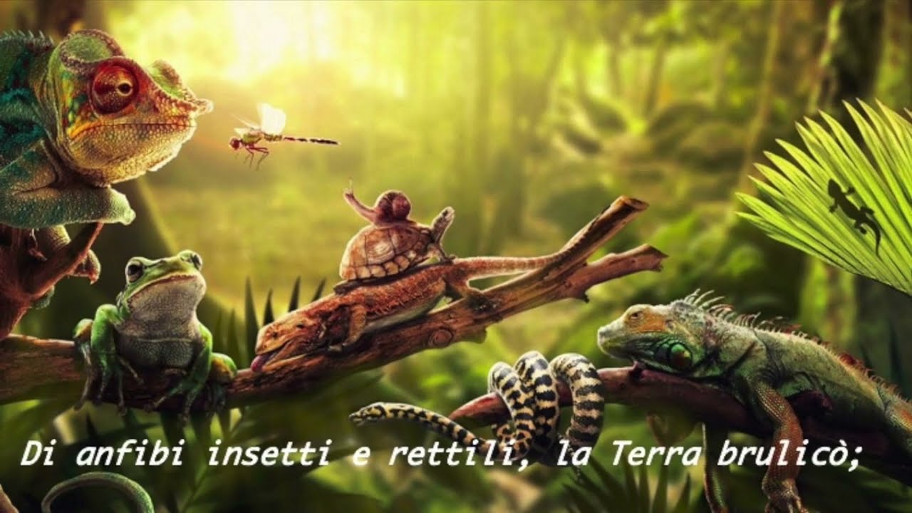 Le origini
