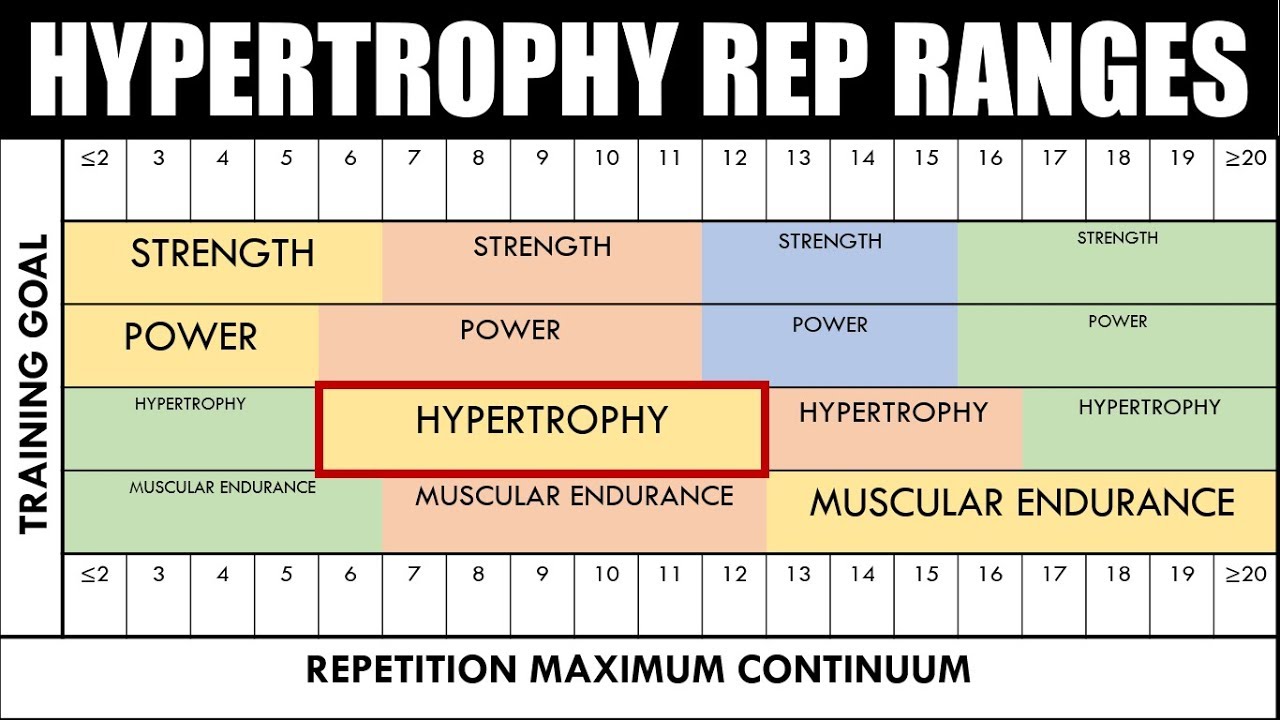 What Rep Range is Best for Hypertrophy? | Optimizing Muscle Gain