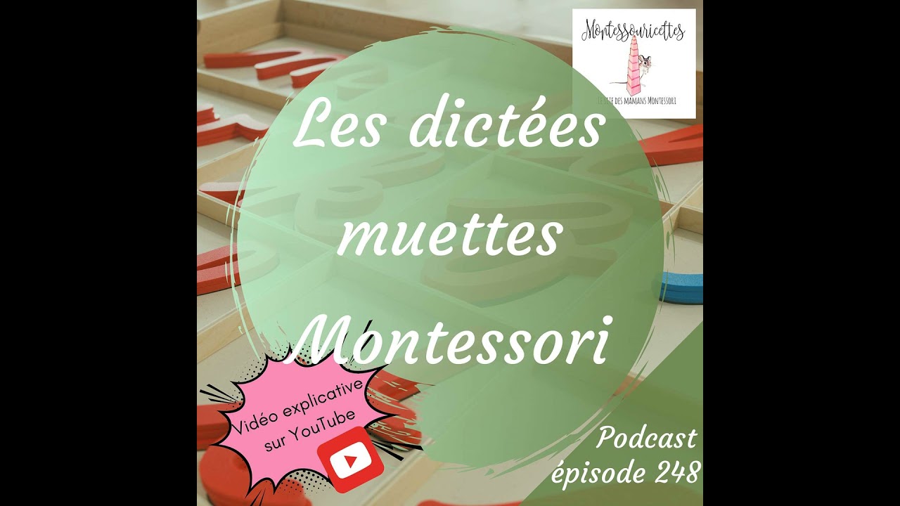 248. Les dictées muettes Montessori