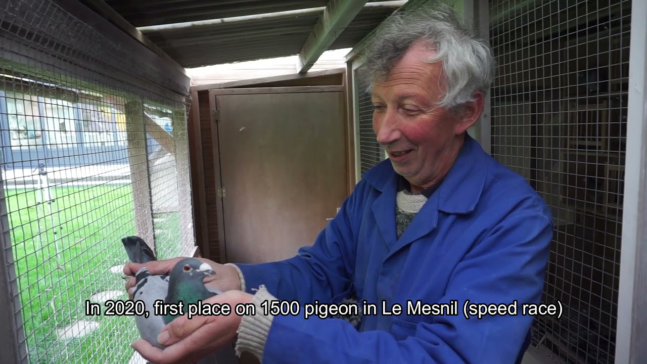 Dominique Lebbrecht, la tête de Toury à Agen (english subtitles)
