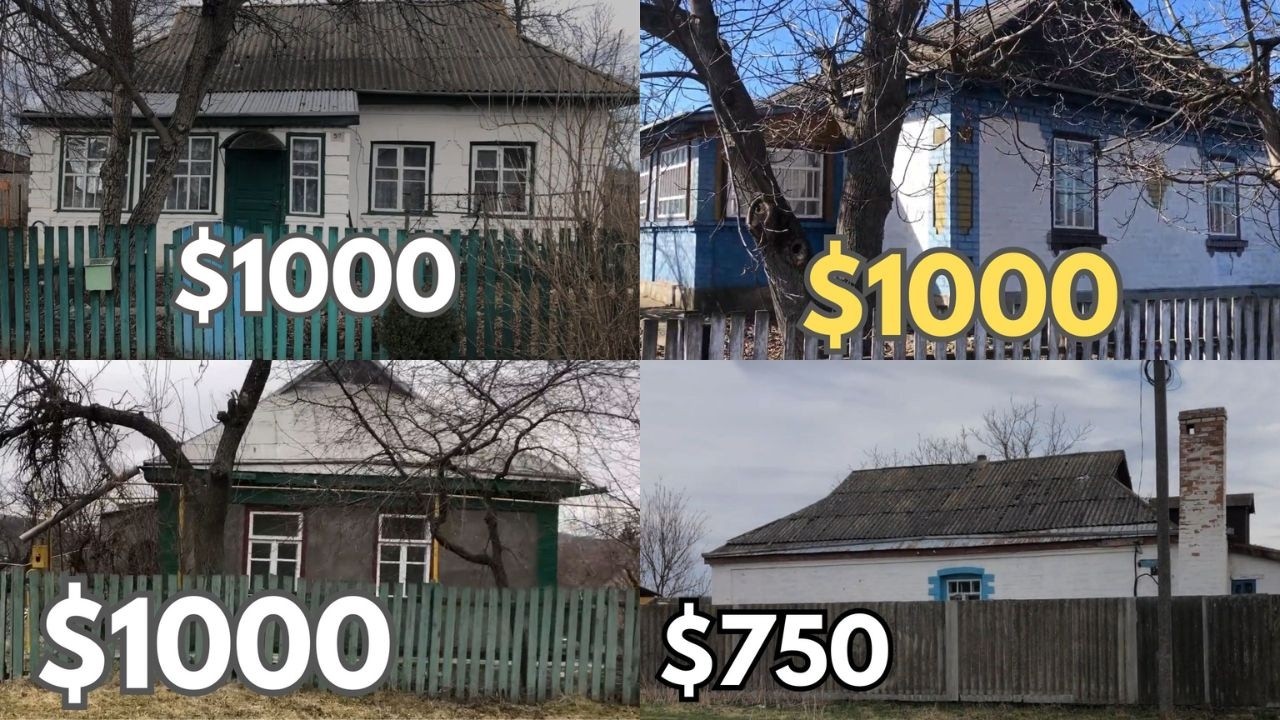 4 Будинки до $1000 / Огляд будинків з РЕМОНТОМ і МЕБЛЯМИ