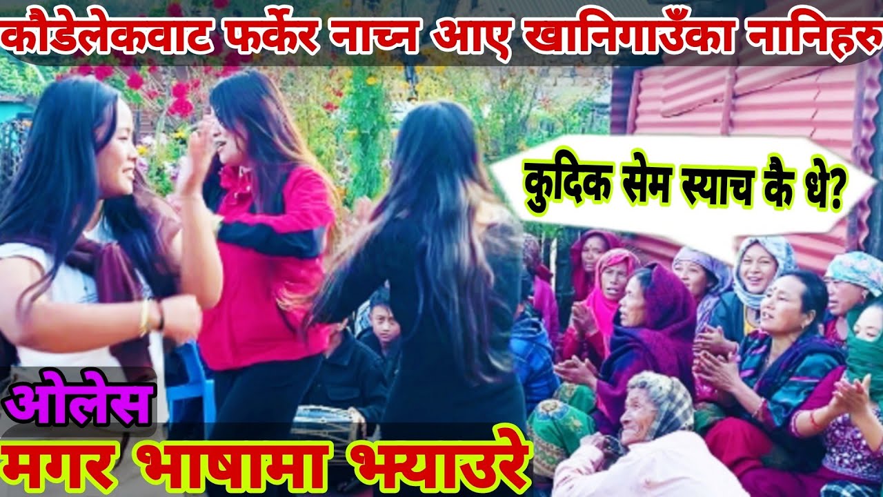 कौडेलेक घुम्न आउने खानिगाउका नानिहरुको रमाईलो नाच || Typical Jhyaure Salaijo || Magar Culture Olesh