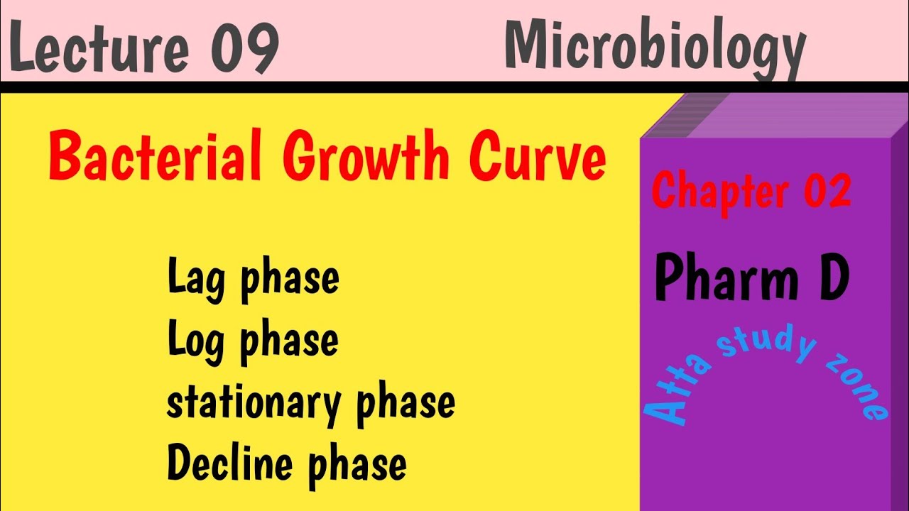 Growth Curve Of Bacteria / Pharm D / Pharm B
