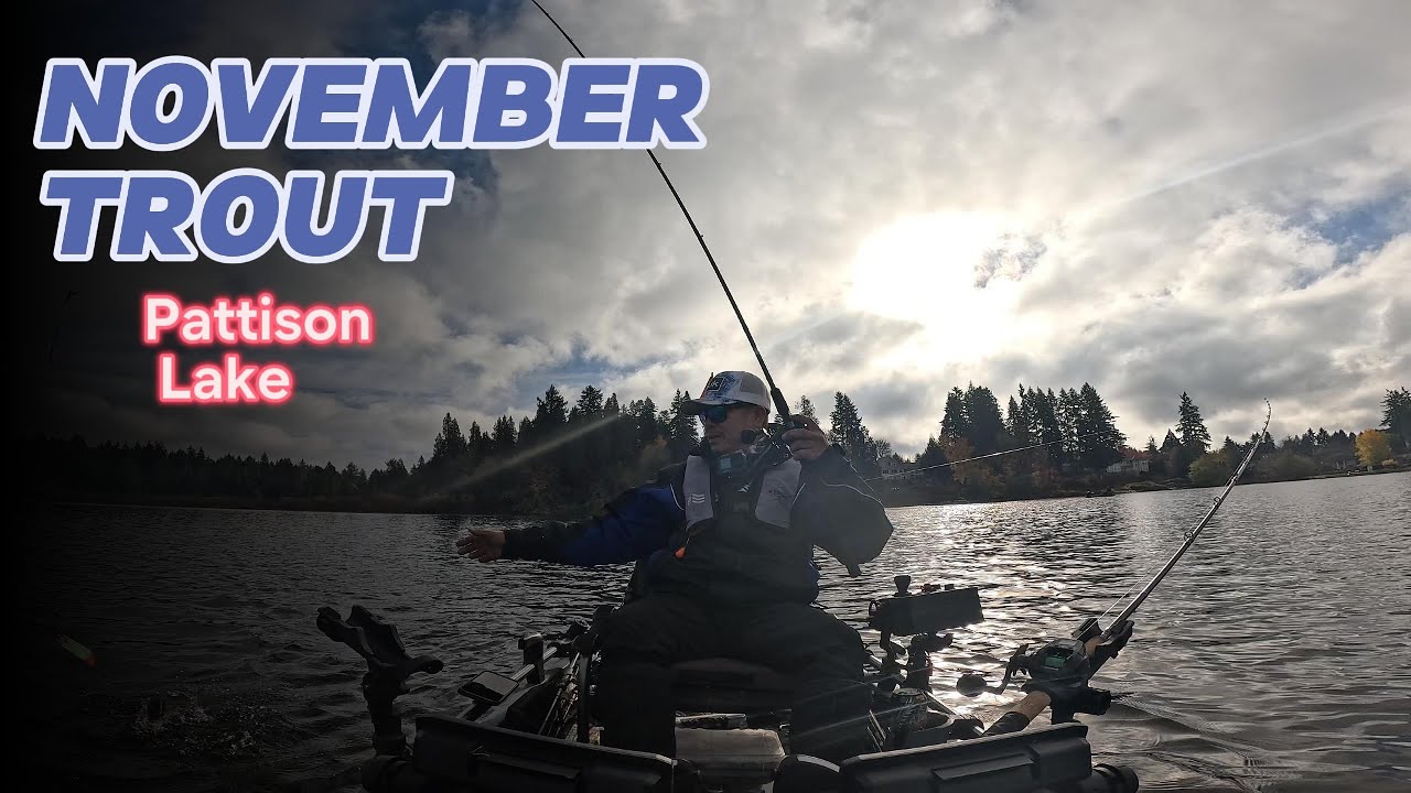 November TROUT (PATTISON LAKE)