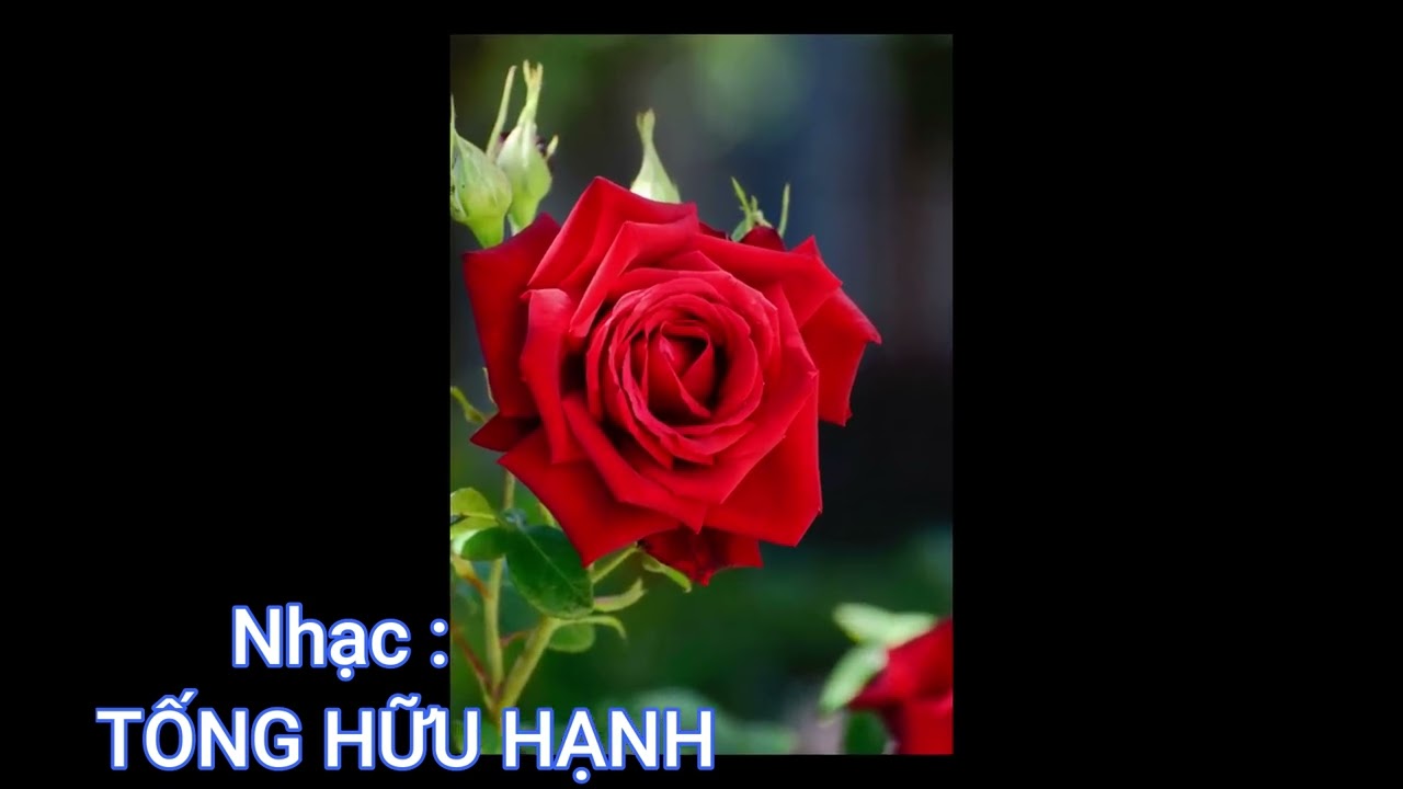 XUÂN XƯA