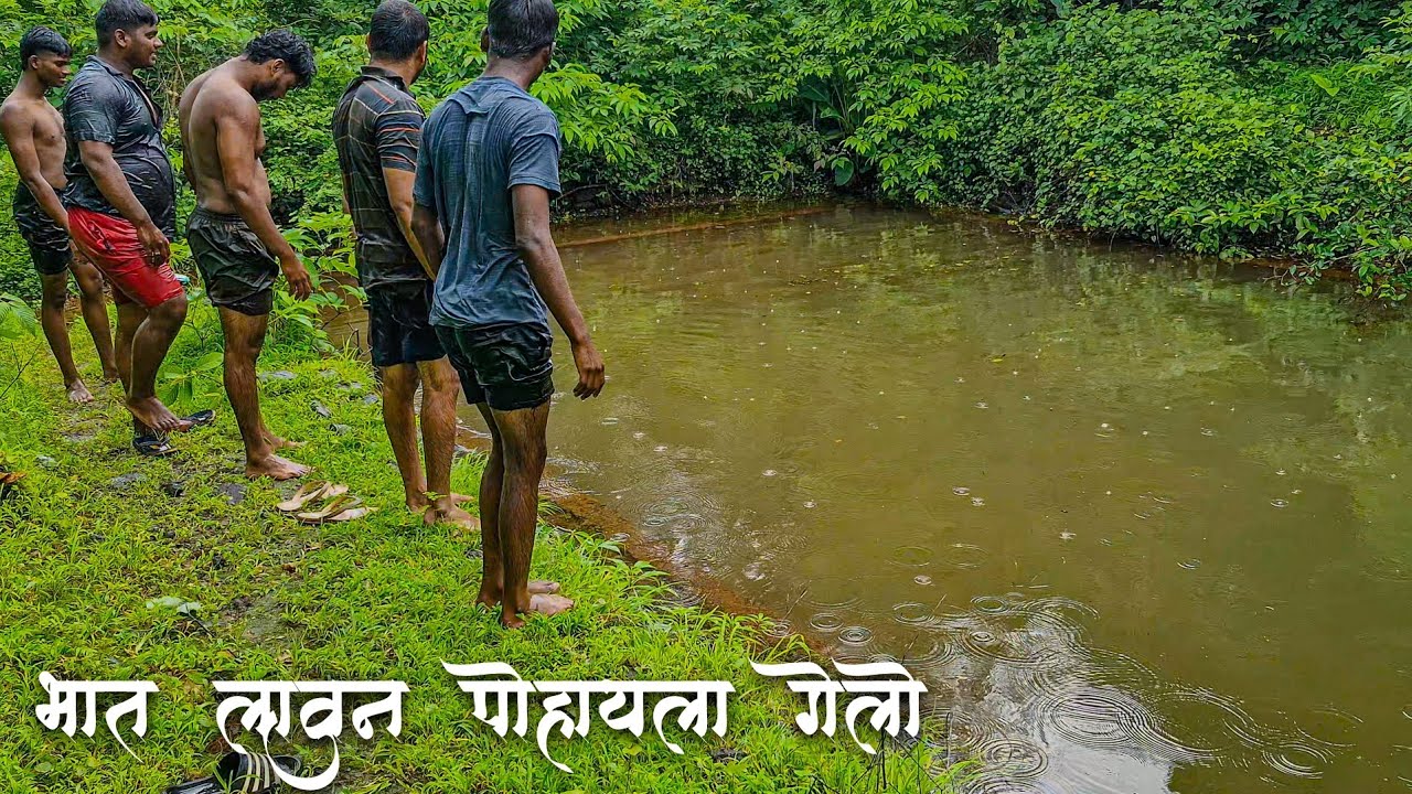 भात लावून पोहायला गेलो ...#swimming #vlog #viralvideo #kokan #nature