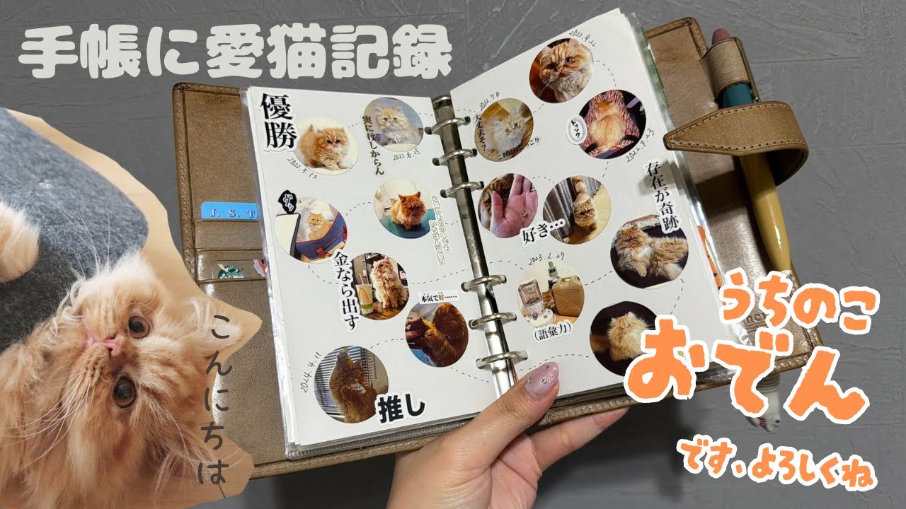 【手帳の中身】トラベラーズノートとシステム手帳に愛猫成長日記🍢