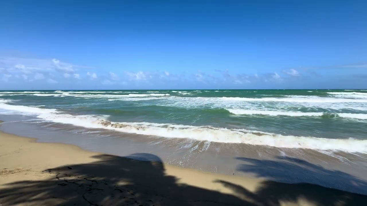 Tropical Beach Waves | Relaxing Ocean Sounds & Palm Tree Shadows ASMR for Sleep