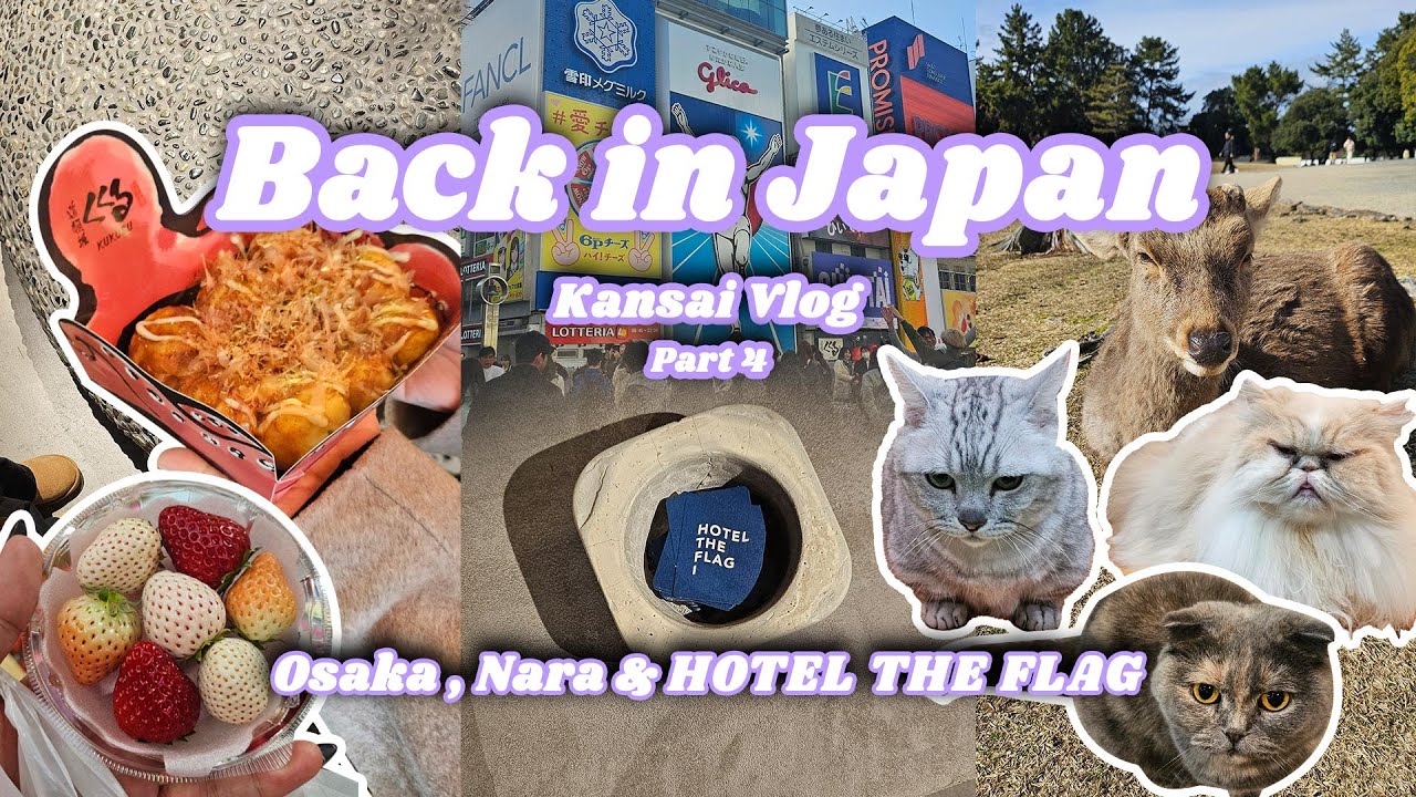 Back In Japan | Kansai Vlog Pt. 4 | Osaka, Nara & Hotel The Flag