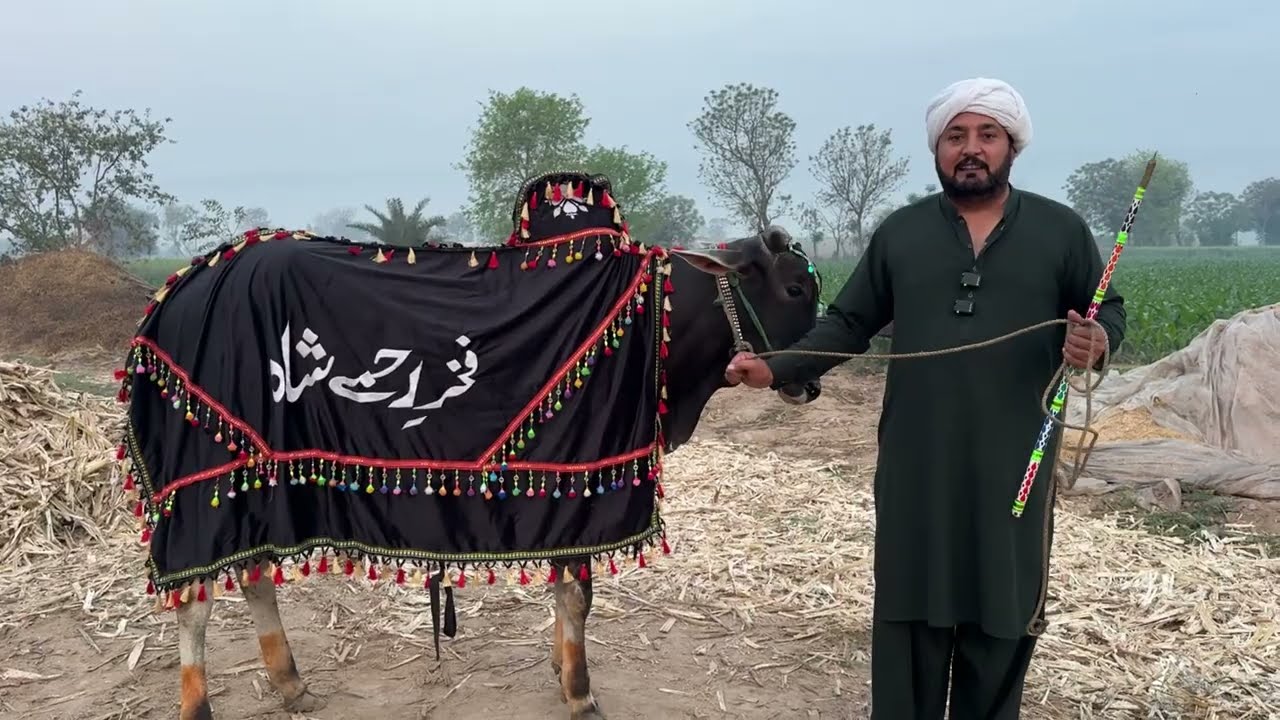 Swere sajry wehre phere | Nehar di update | Pind di swer | Anjum Saroya