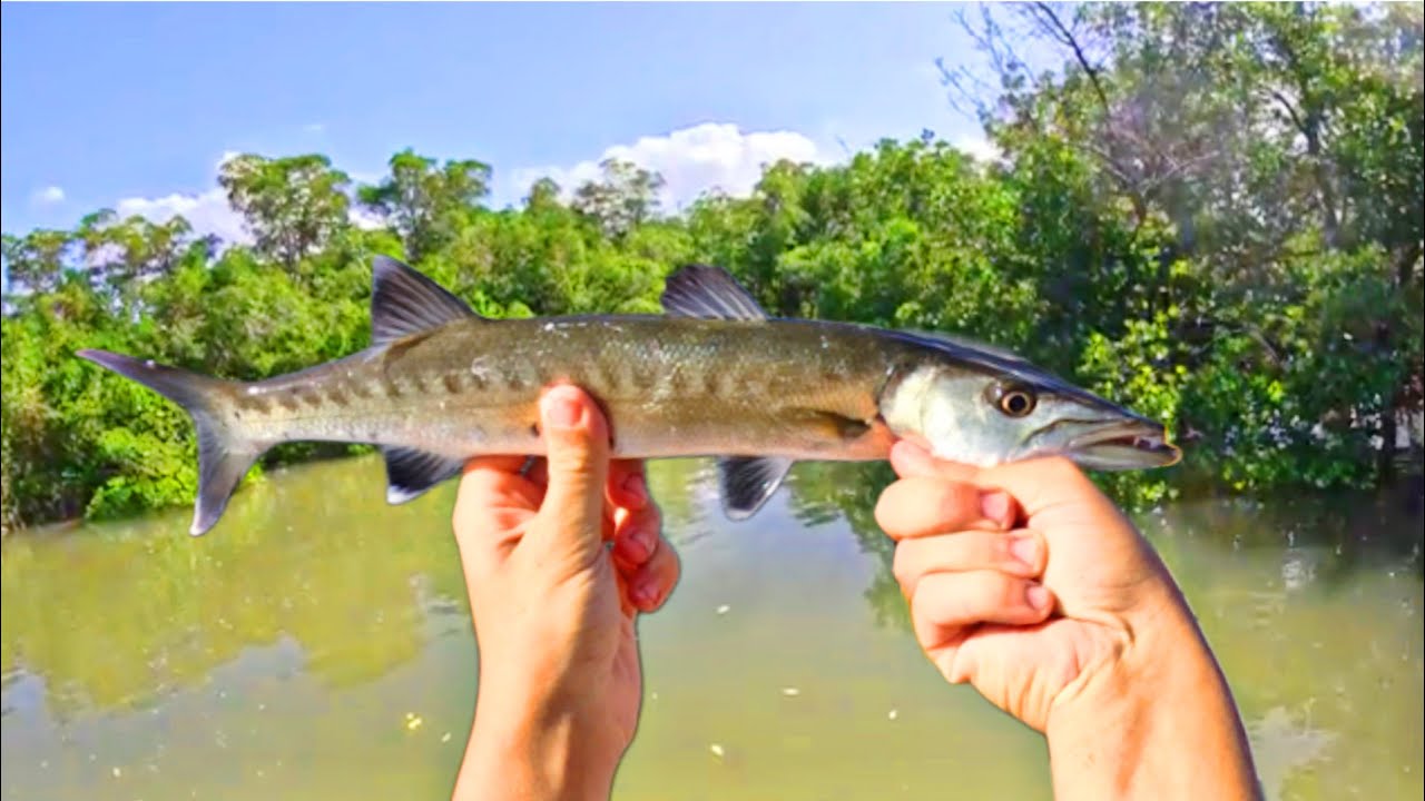 INSHORE Florida EVERGLADES Fishing SLAM! (Multi Species Caught)