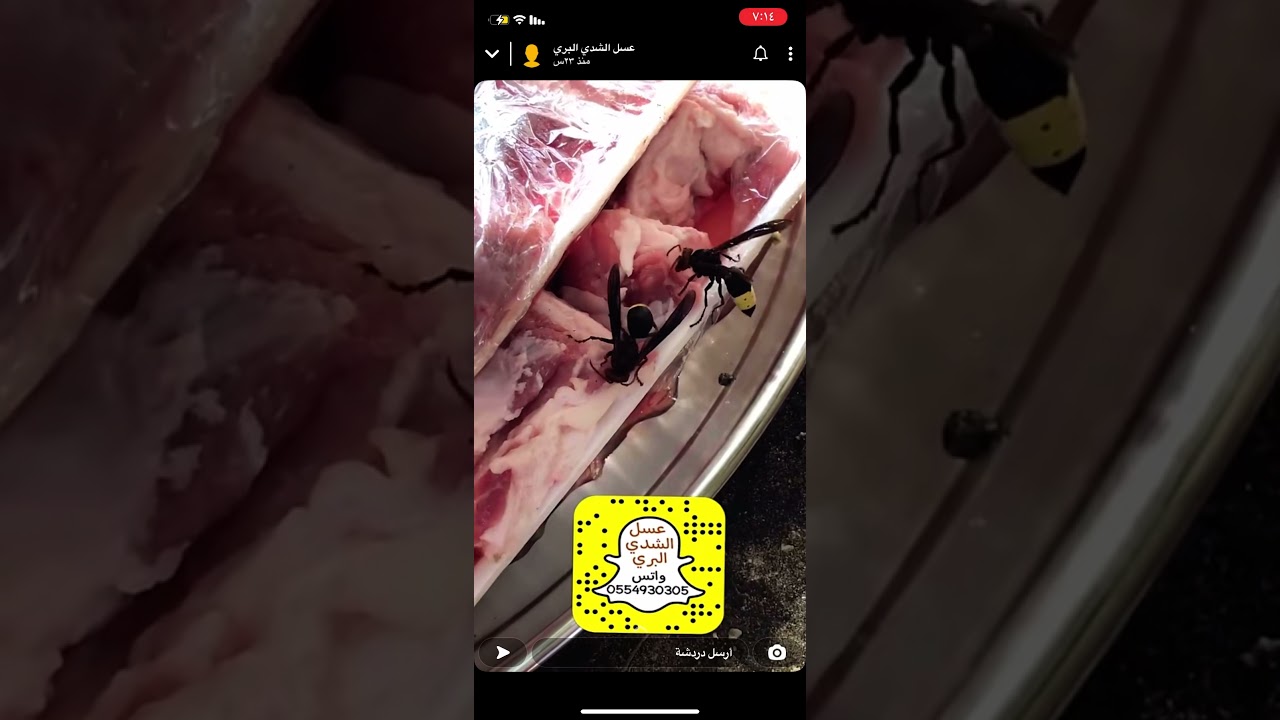 مكافحة الدبور، سنابات النحال الشدي