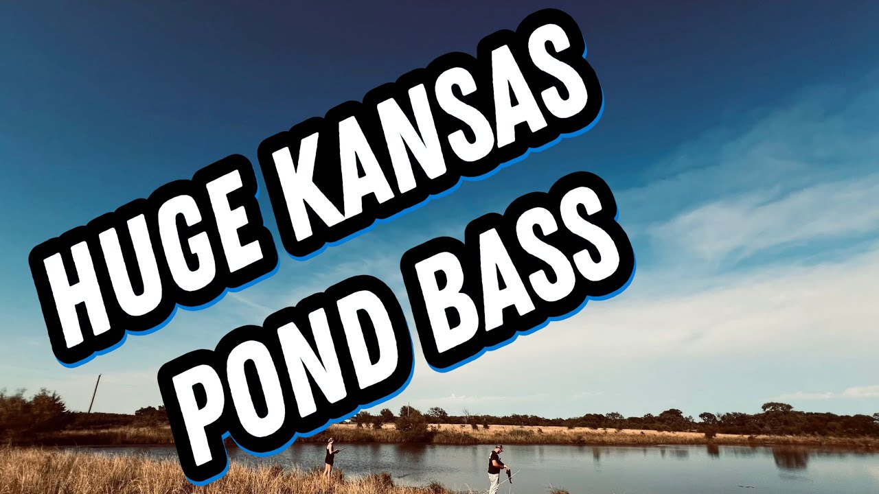 Giant Kansas Farm Pond Bass! 