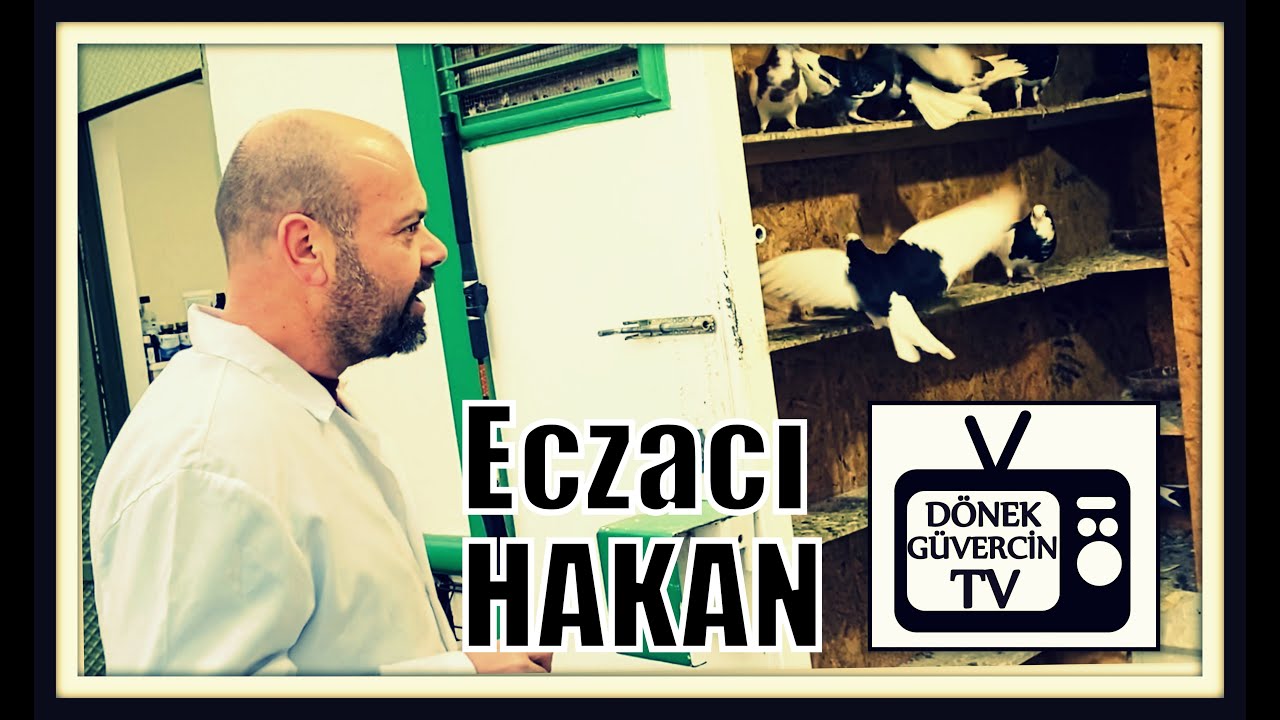 Güvercin İshaline kesin çözüm..Eczacı Hakan altın gibi bilgiler.Güvercin bakımı.dönek dunek pigeons