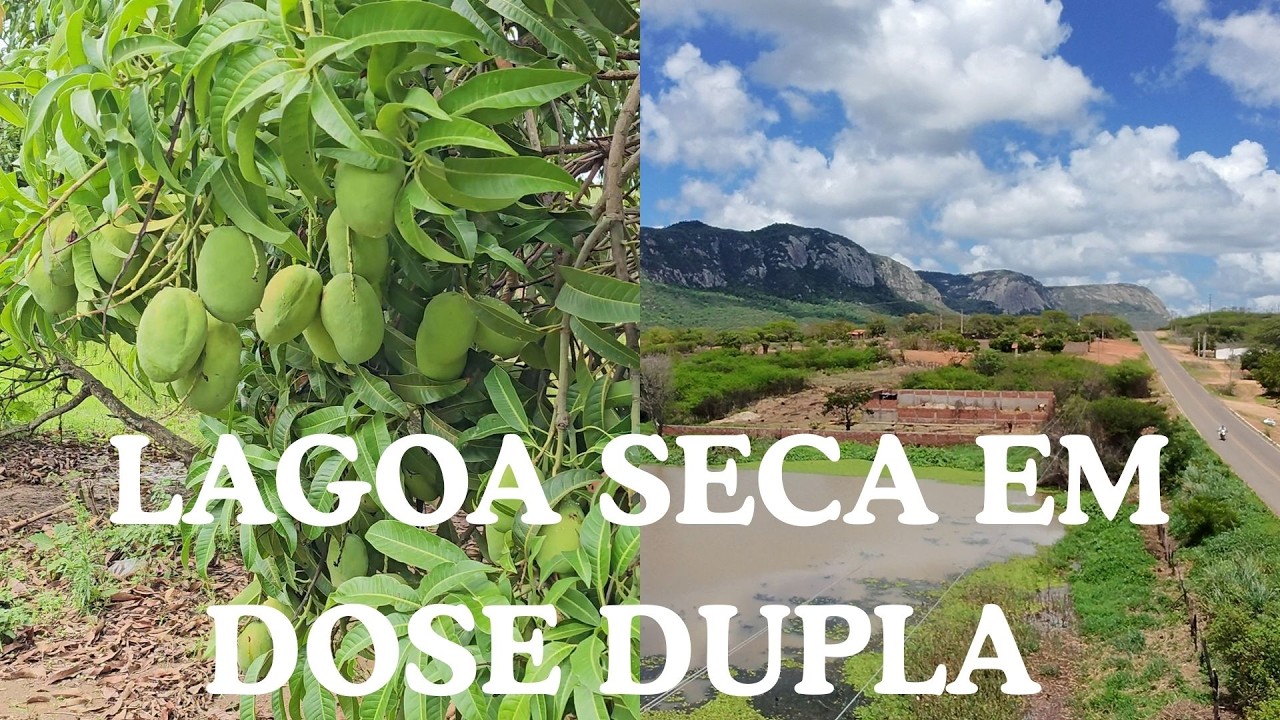 LAGOA SECA: DOIS MOMENTOS, UMA HISTÓRIA - MONSENHOR TABOSA CEARÁ