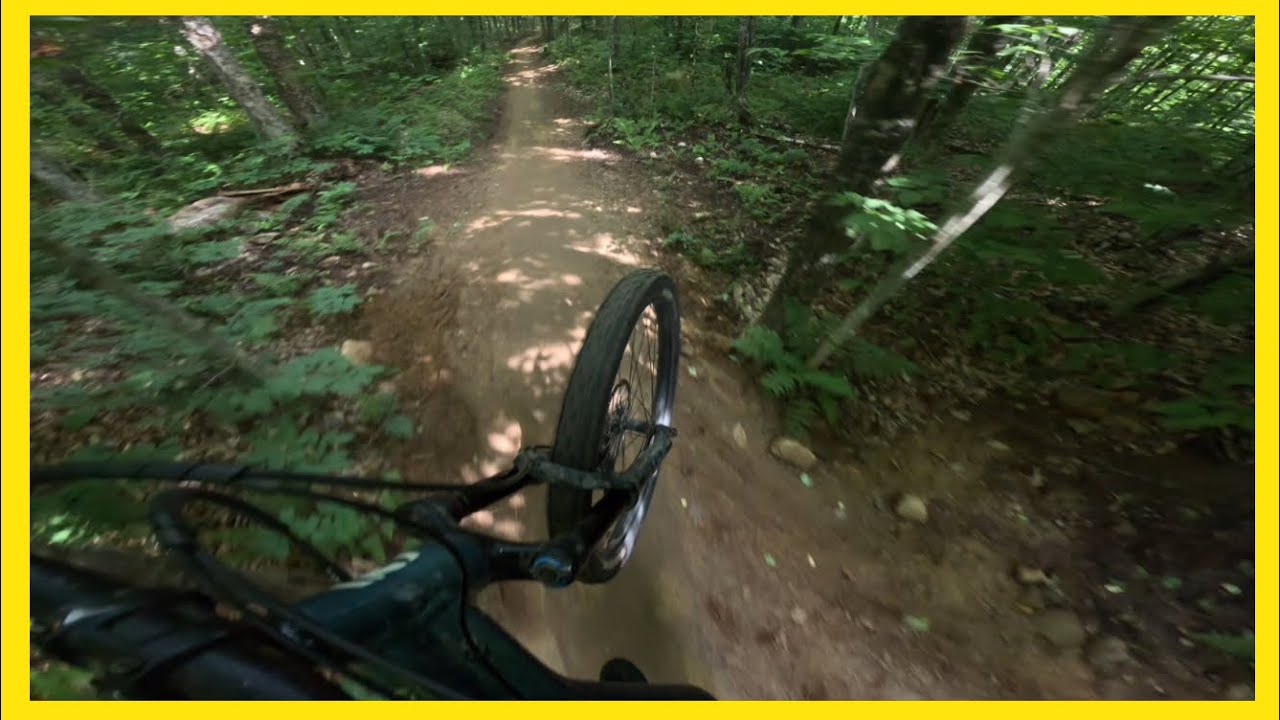 Black Bear in Kingdom Trails | One of The Longest Flow Trails I Hit