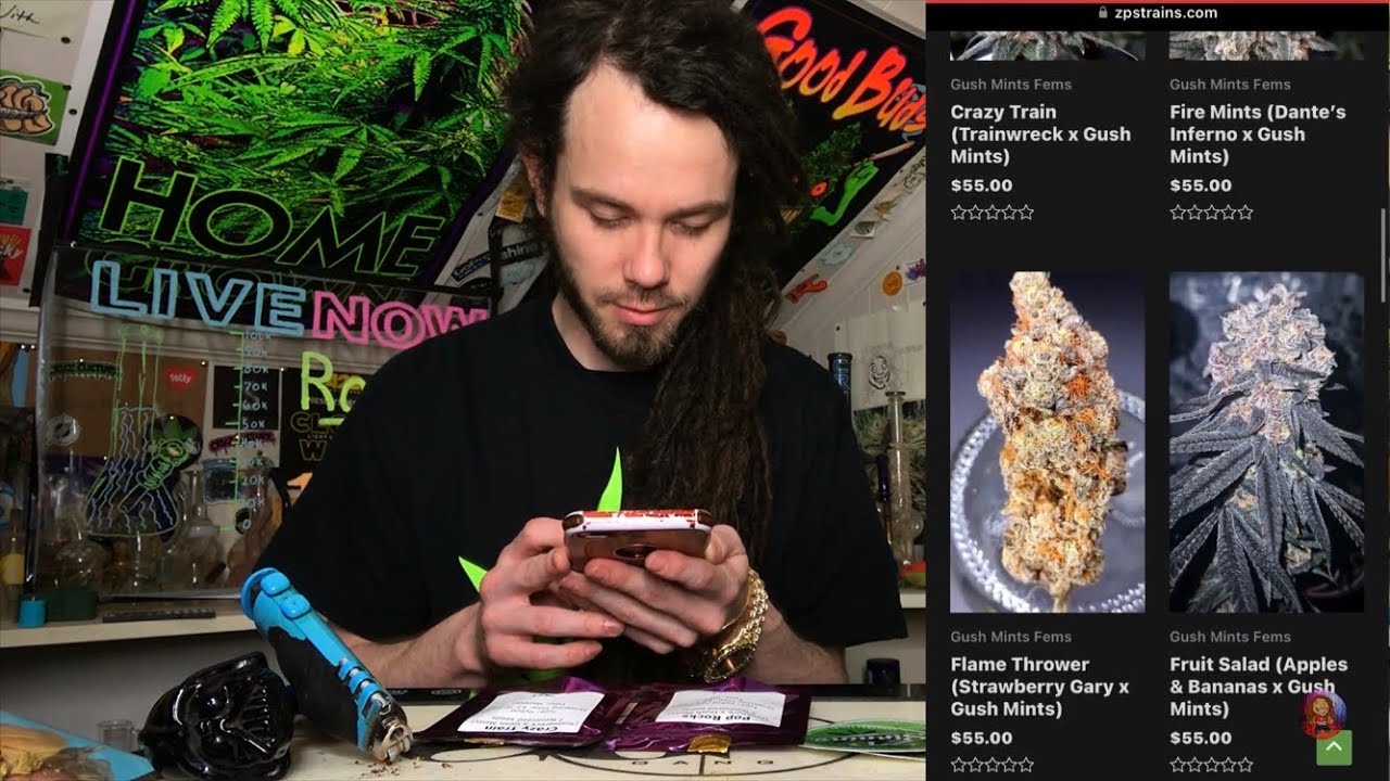 Crazy Train & Pop Rock beans from ZP HomeGrows