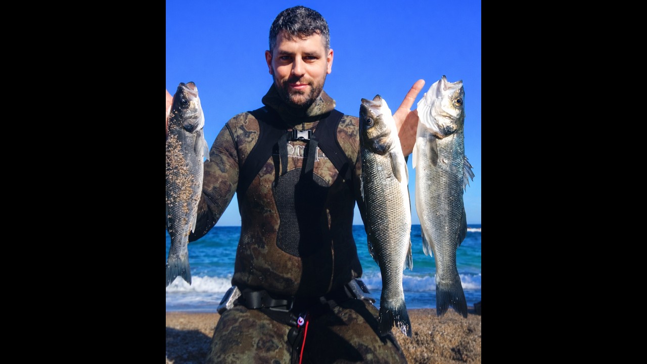 🔱🤿 SHALLOW SPEARFISHING SEA BASS. ΡΗΧΟ ΨΑΡΟΝΤΟΥΦΕΚΟ ME KAIPO...ΤΑ ΛΑΥΡΑΚΙΑ ΗΤΑΝ ΕΚΕΙ 🌊🐟